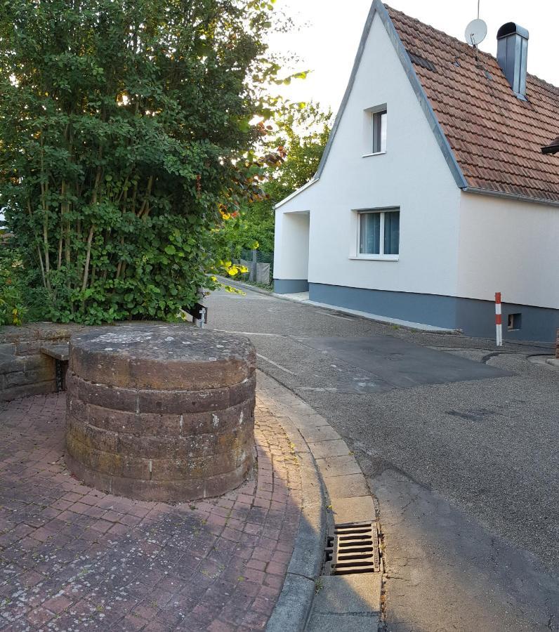 Ferienhaus Alexandra Bollenborn المظهر الخارجي الصورة