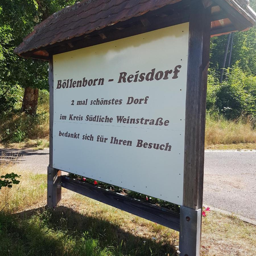 Ferienhaus Alexandra Bollenborn المظهر الخارجي الصورة