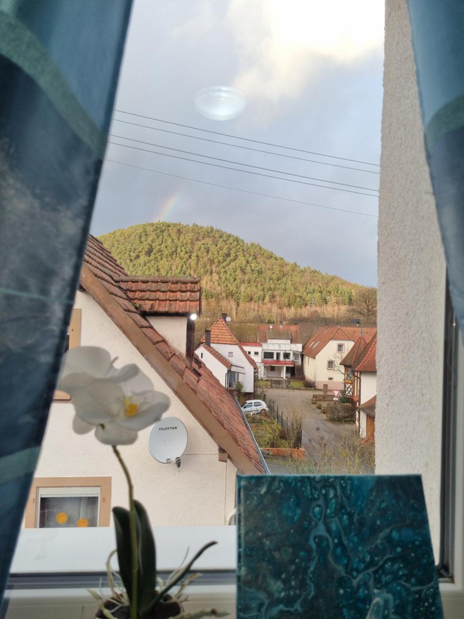 Ferienhaus Alexandra Bollenborn المظهر الخارجي الصورة